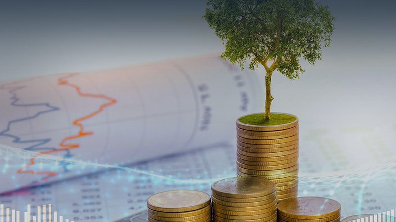 小标题：行业现状：加盟模式崛起，品牌选择多样化
